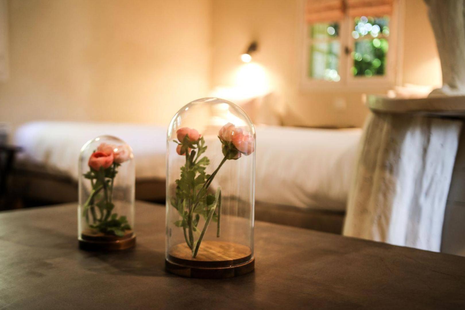 La Bastide Bleue Hotel Séguret Екстериор снимка